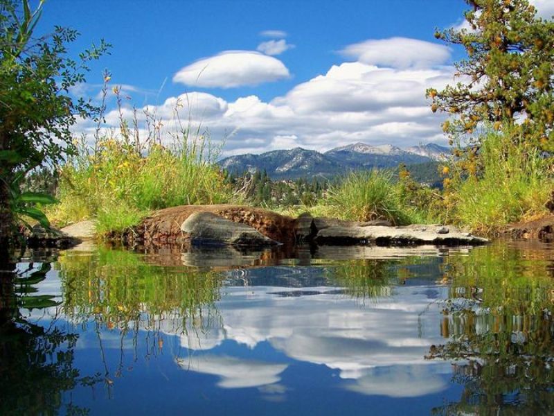 Sierra National Forest