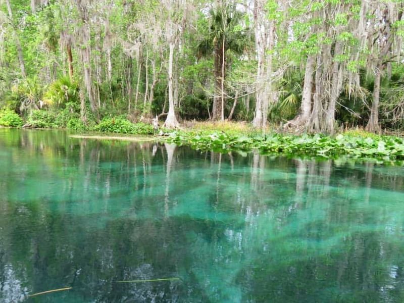 Silver Springs State Park