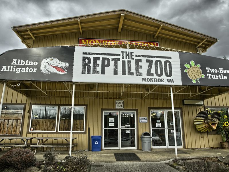 The Reptile Zoo