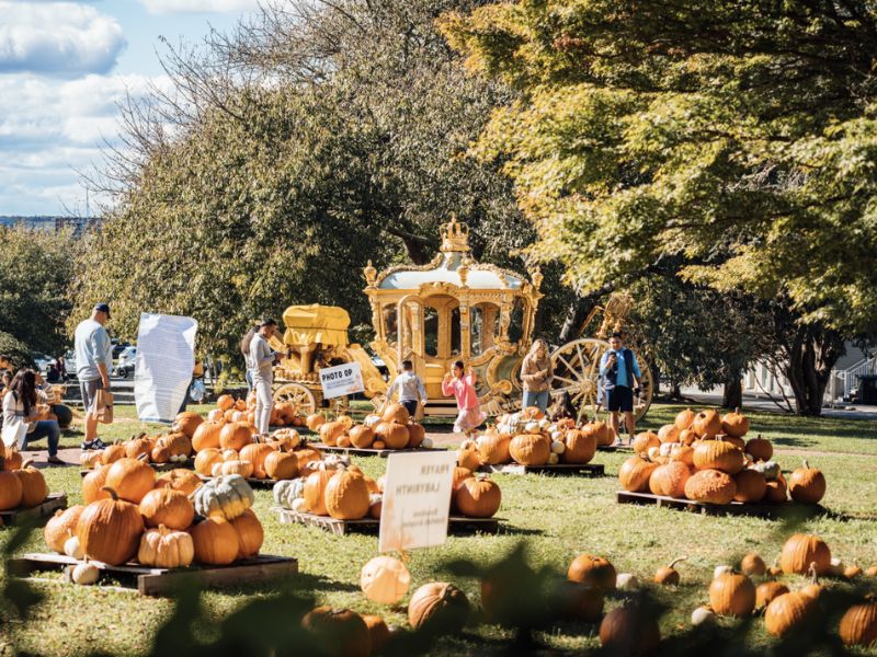 Attend Newport's Annual Fall Foliage Festival