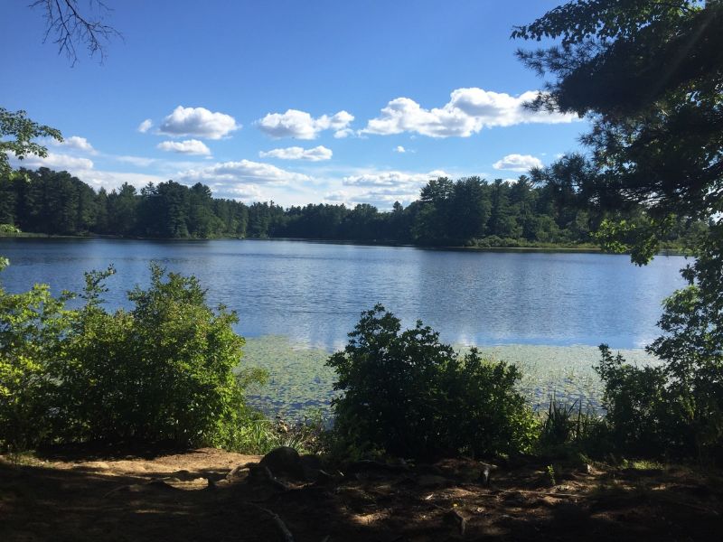 Enjoy Nature at Wasserman Park