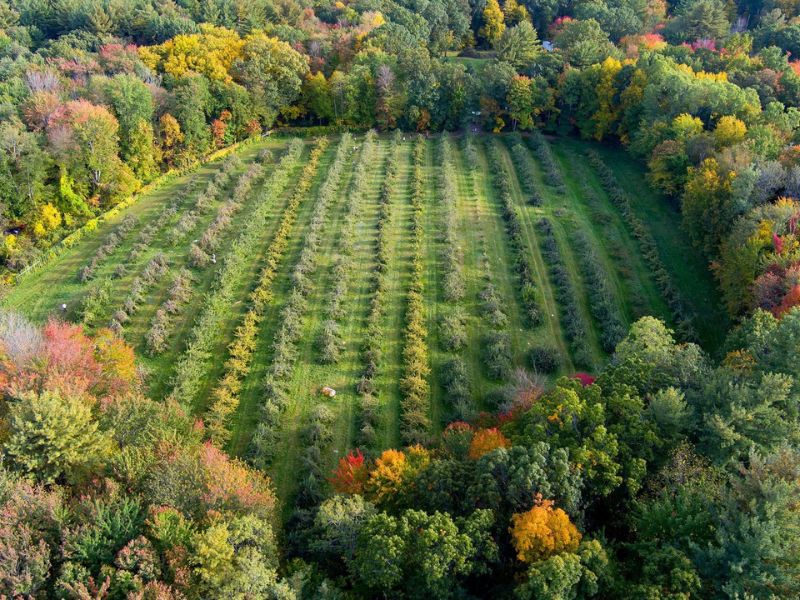 Experience Farm Life at Currier Orchards, LLC