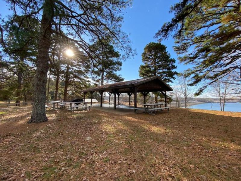 Explore Nature at Eagle Point Wildlife Management Area