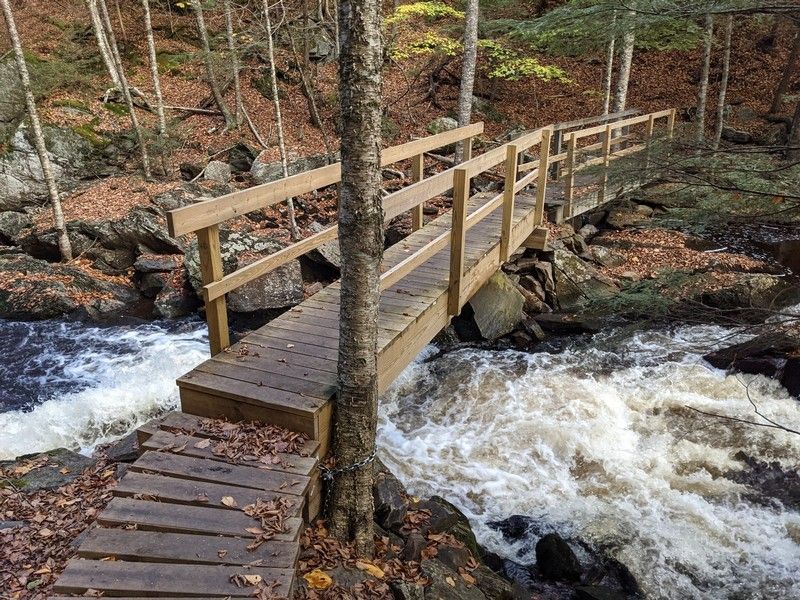 Explore the Crider Avenue Nature Trail