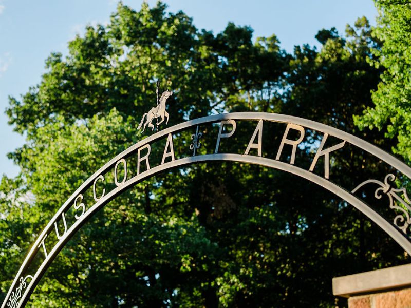 Play a Round of Disc Golf at Tuscora Park