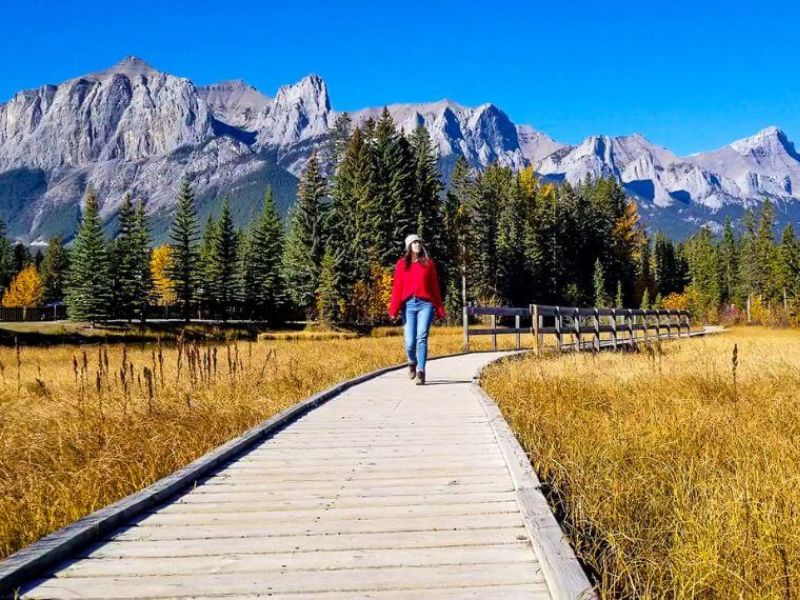 Take a Stroll Along the Creek Trail