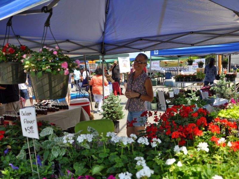 Visit the Pineville Farmers Market