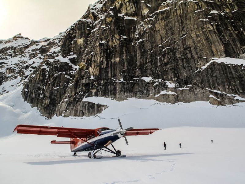 Experience Grand Denali Flightseeing with Optional Glacier Landing
