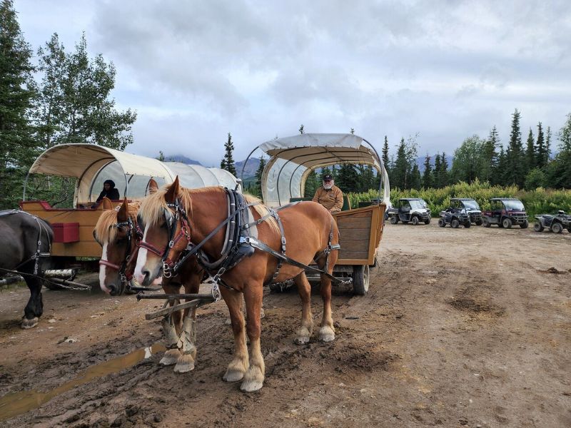 Experience Horse-Drawn Covered Wagon Ride with Backcountry Dining