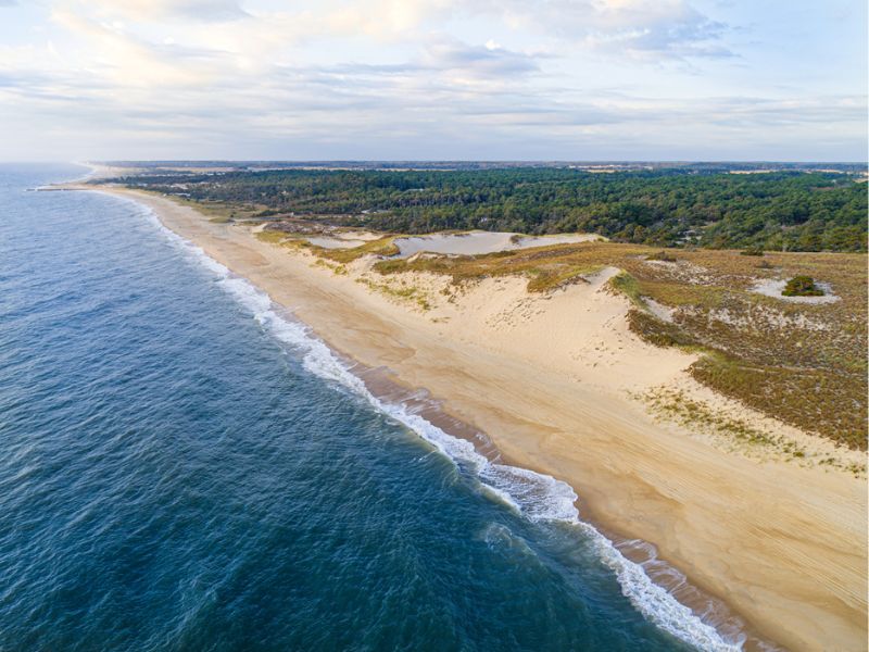 Explore The Cape Henlopen State Park