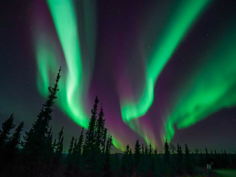 Explore The Northern Lights