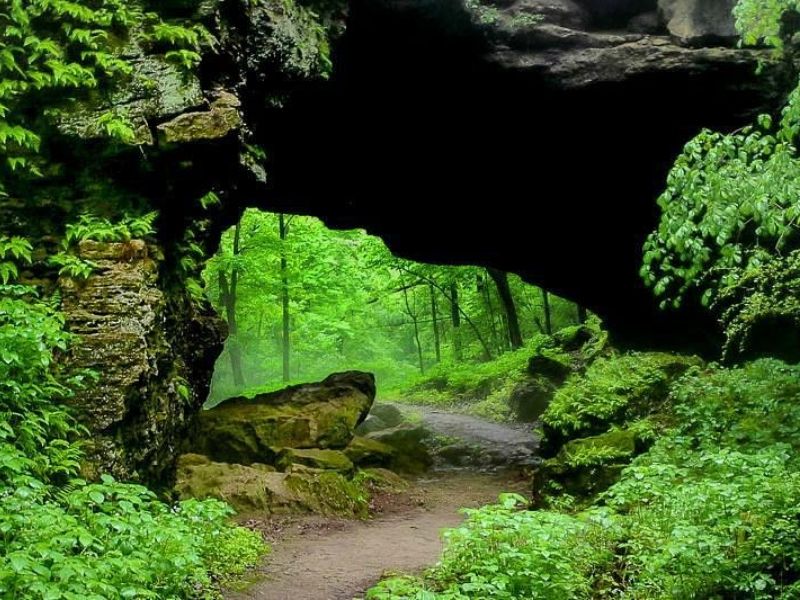 Discover Nature at Maquoketa Caves State Park