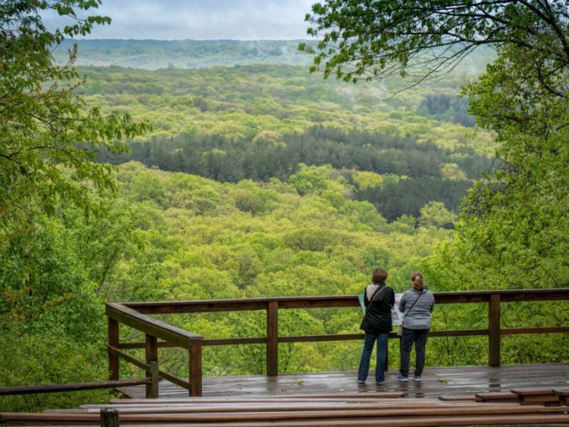 Discover the Brown County State Park