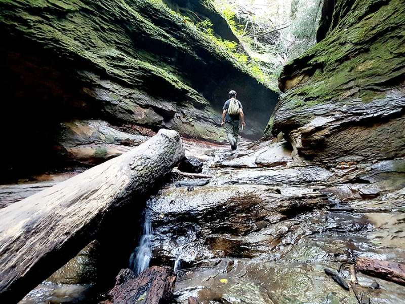 Enjoy a Day at Turkey Run State Park