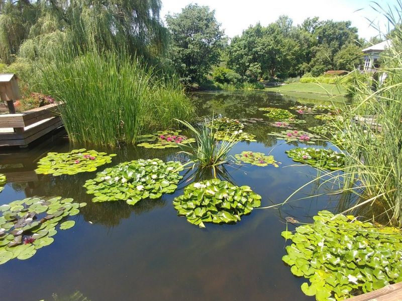 Enjoy the Botanica, The Wichita Gardens