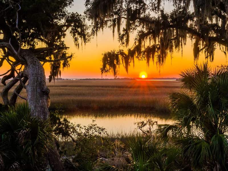 Explore Cumberland Island National Seashore