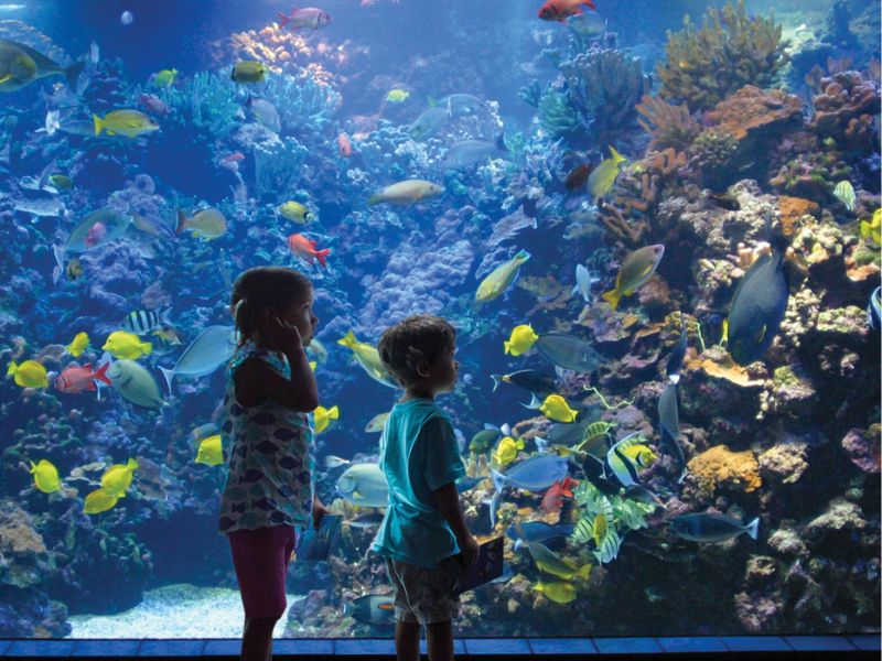 Exploring the Maui Ocean Center