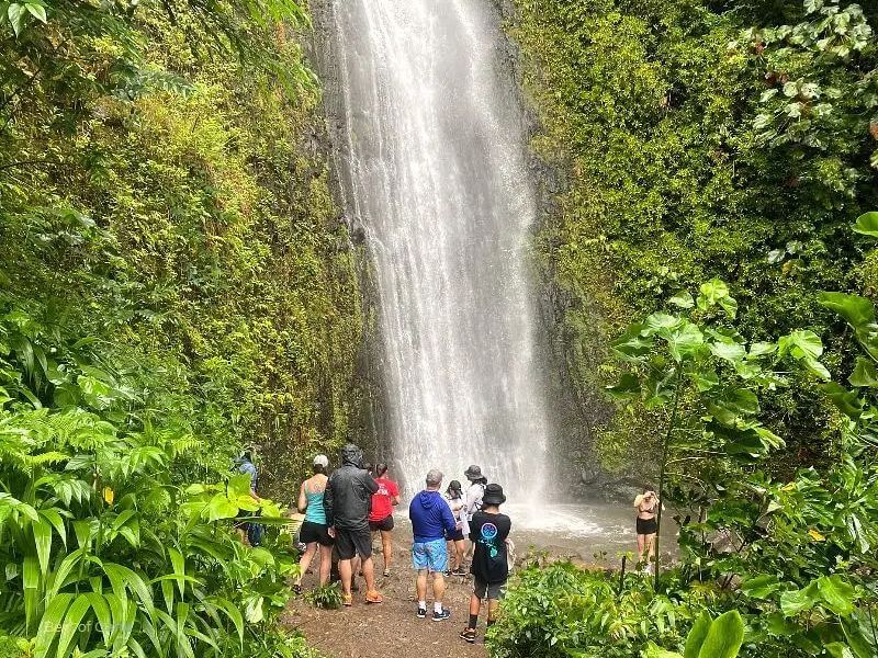 Hiking to Manoa Falls