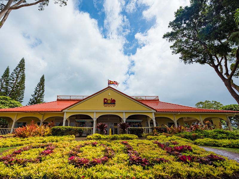 Visiting the Dole Plantation