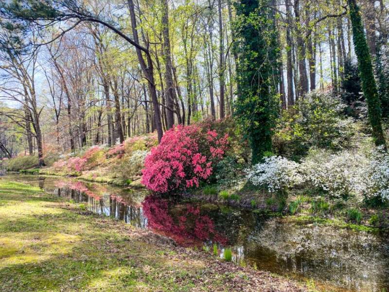 Wander Through Callaway Gardens