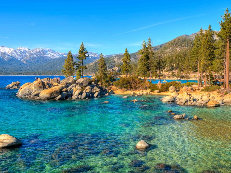 Bond With Nature At Lake Tahoe