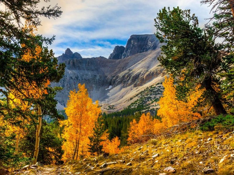 Enjoy The Atmosphere Of Great Basin National Park