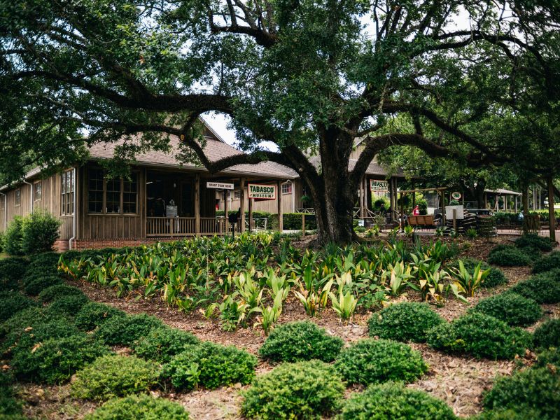 Explore Avery Island Tabasco Museum