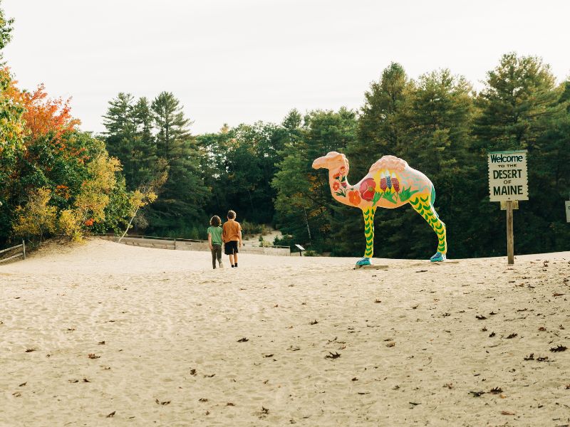 Explore the Desert of Maine