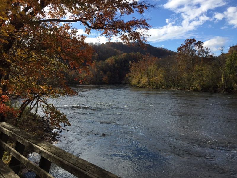 Stroll Down the French Broad River Park