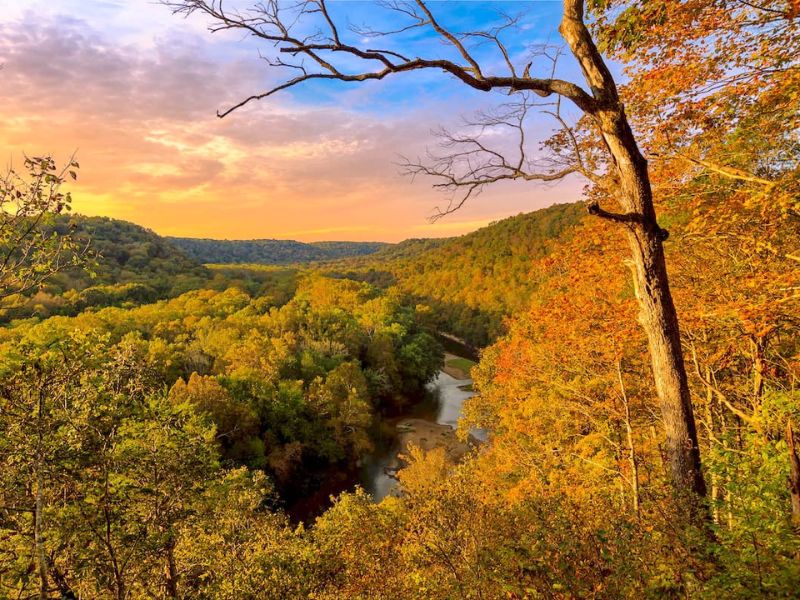 Visit Mammoth Cave National Park