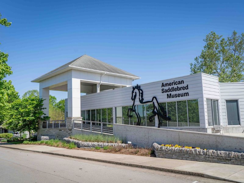 Visit the American Saddlebred Museum