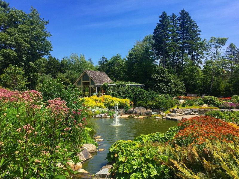 Visit the Coastal Maine Botanical Gardens