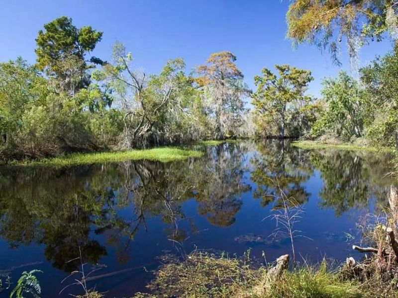 Visit the Jean Lafitte National Historical Park and Preserve