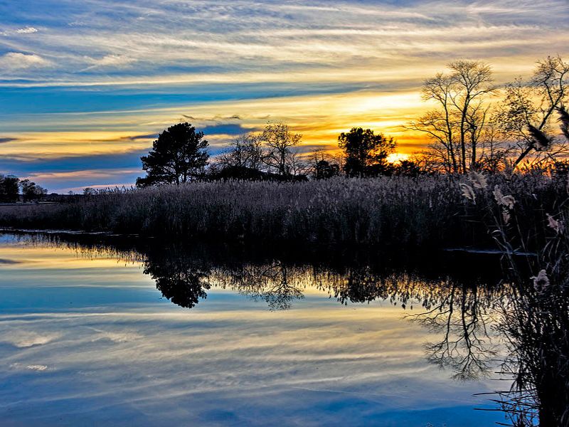 Blackwater National Wildlife Refuge