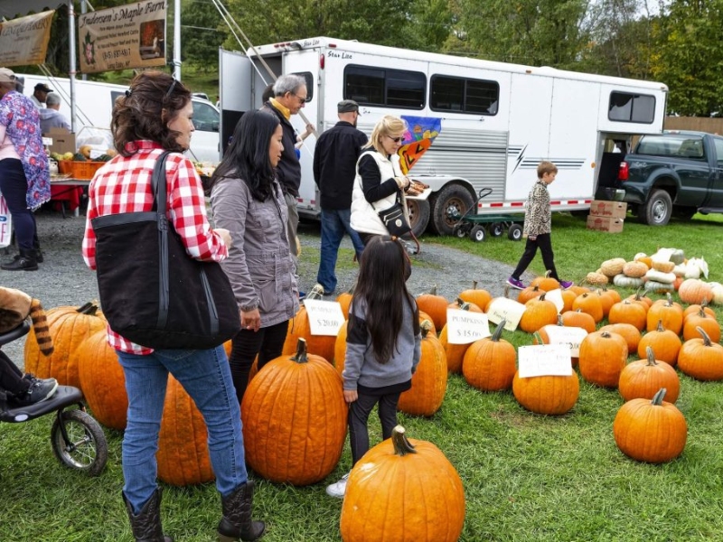 Carve the pumpkins of Catskill