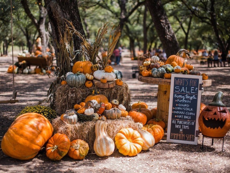 Enjoy Ghostly German Traditions in New Braunfels