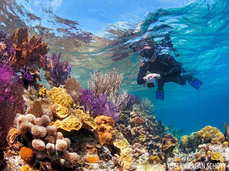 Enjoy scuba diving at Blue Hole