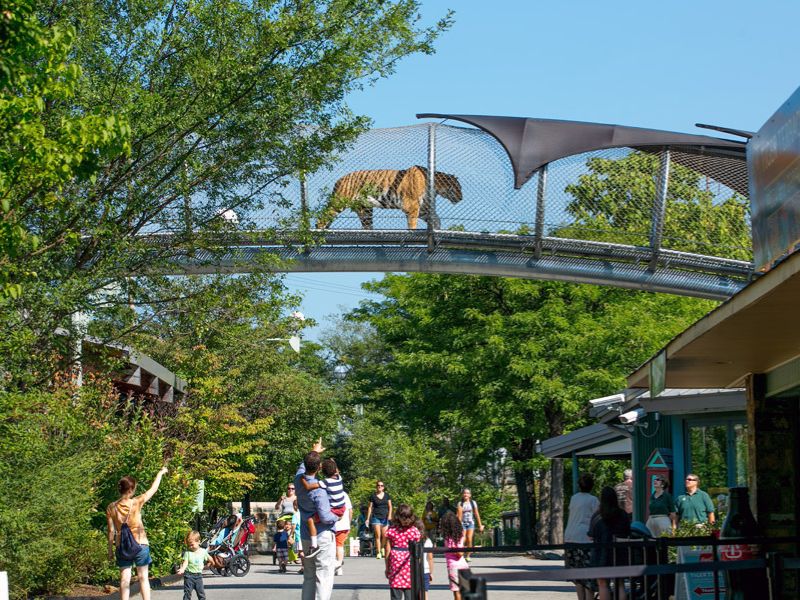 Explore Philadelphia Zoo