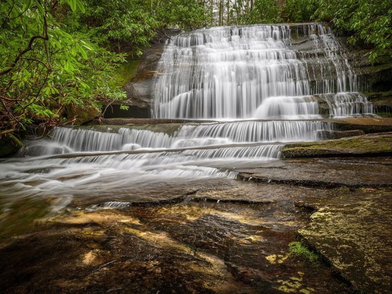 Hike at Pisgah National Forest