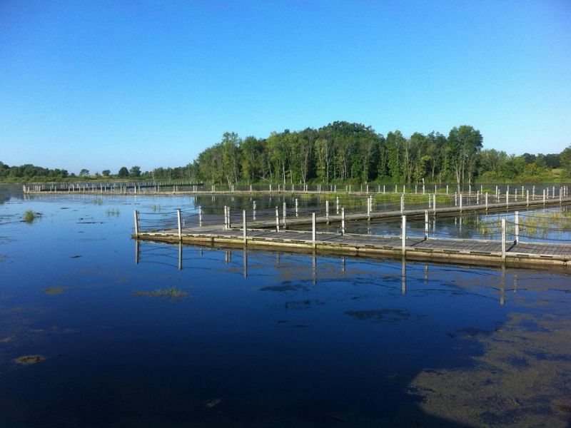 Horicon Marsh