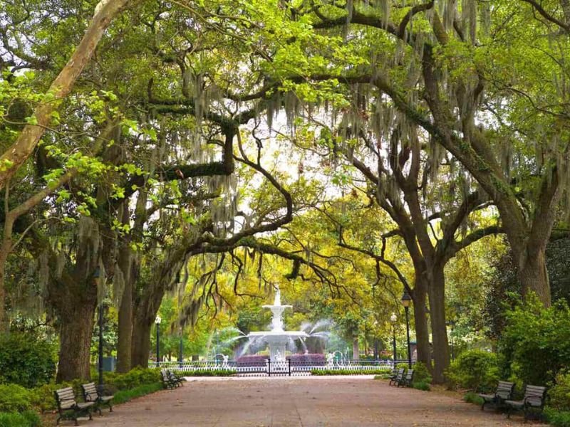 Savannah’s Southern Charm with a Spooky Twist