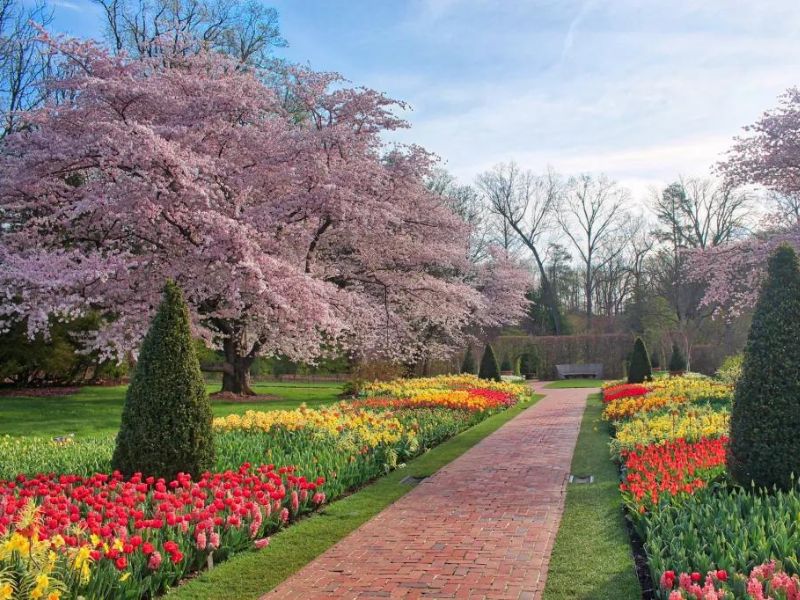 Stroll through Longwood Gardens