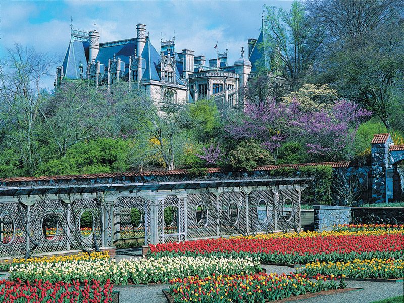 Stroll through the garden of Biltmore Estate