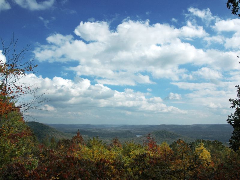 Uwharrie National Forest