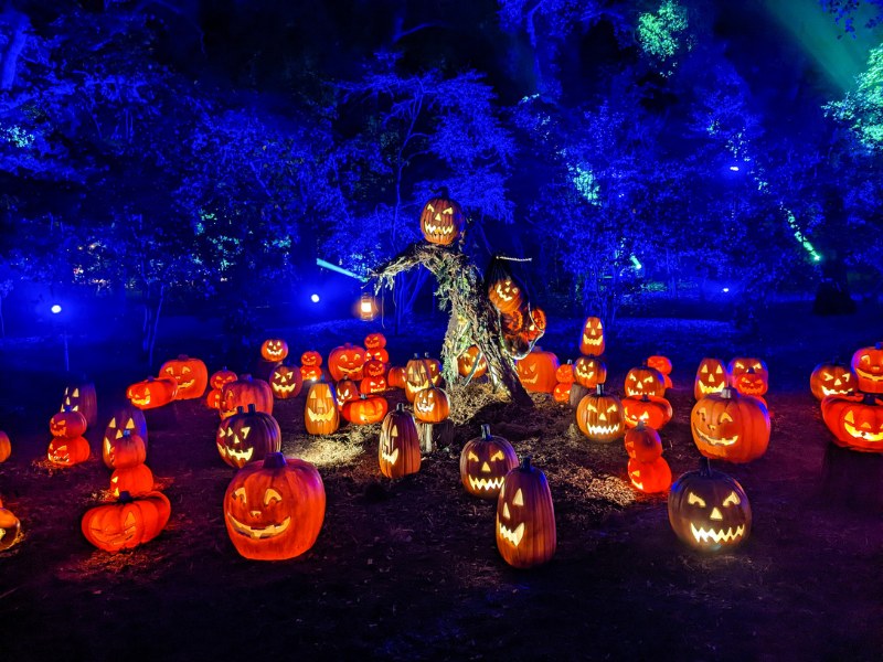 Visit Los Angeles for Spooktacular Fun with Hollywood Glamour