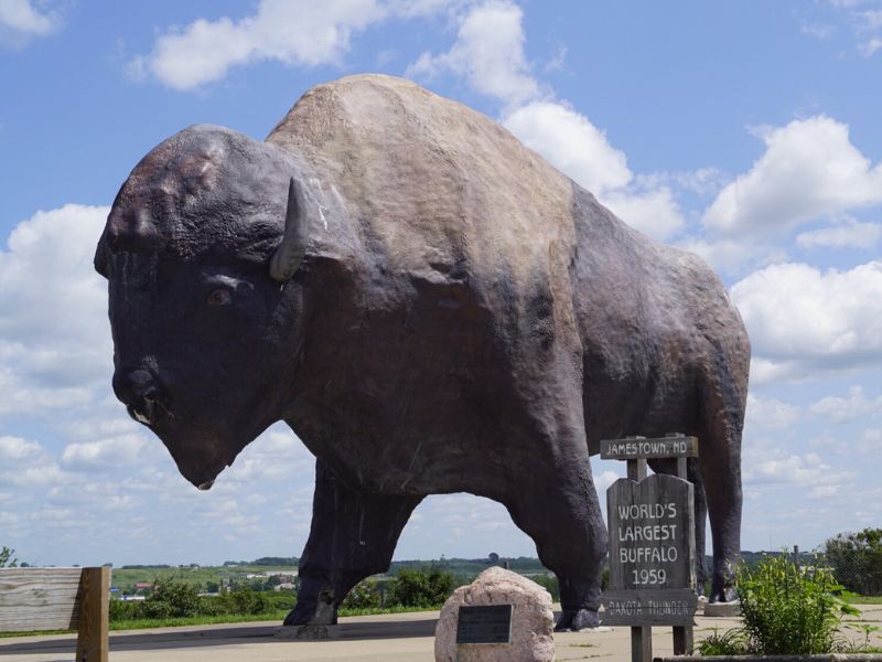 Wander around the area of World's Largest Buffalo Monument