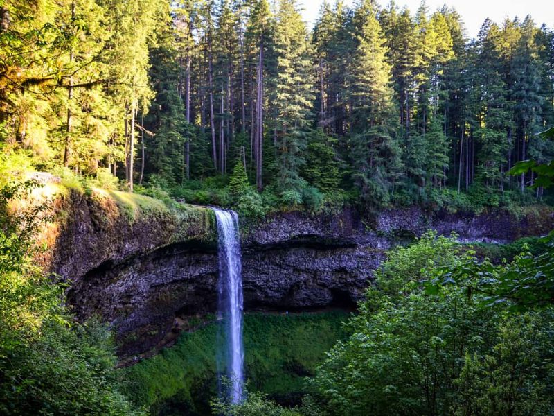 Witness ten falls of Silver Falls State Park