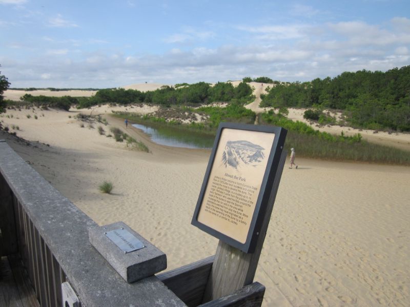 Zoo Jockey's Ridge State Park