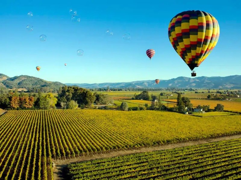 Balloons Above the Valley