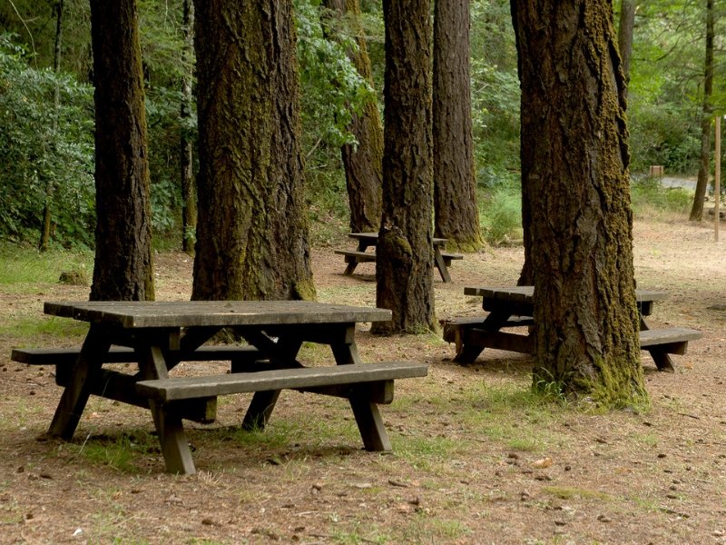 Bothe-Napa Valley State Park